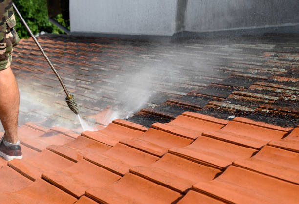 Best Best Pressure Washing Companies  in Three Rivers, MI