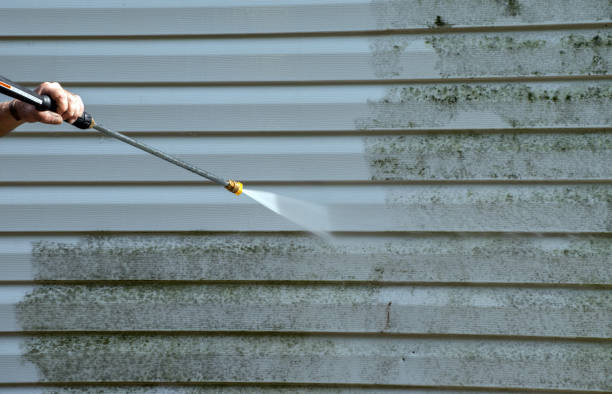 Best Sidewalk Pressure Washing  in Three Rivers, MI