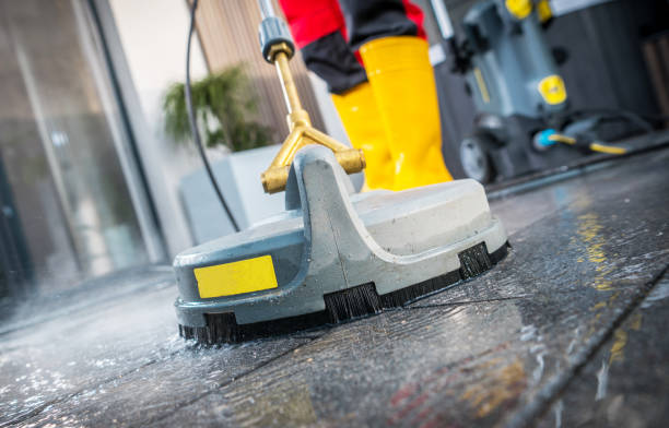 Best Pressure Washing Near Me  in Three Rivers, MI