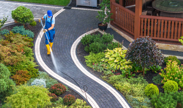 Best Affordable Power Washing  in Three Rivers, MI